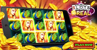 7star Meja langsung